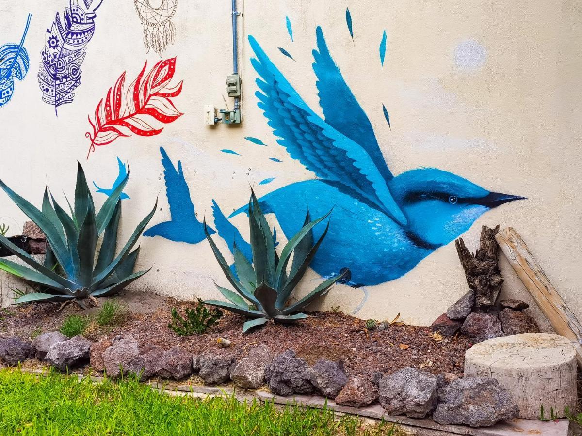 Hostal Casa Los Abuelos Cuatrociénegas de Carranza المظهر الخارجي الصورة